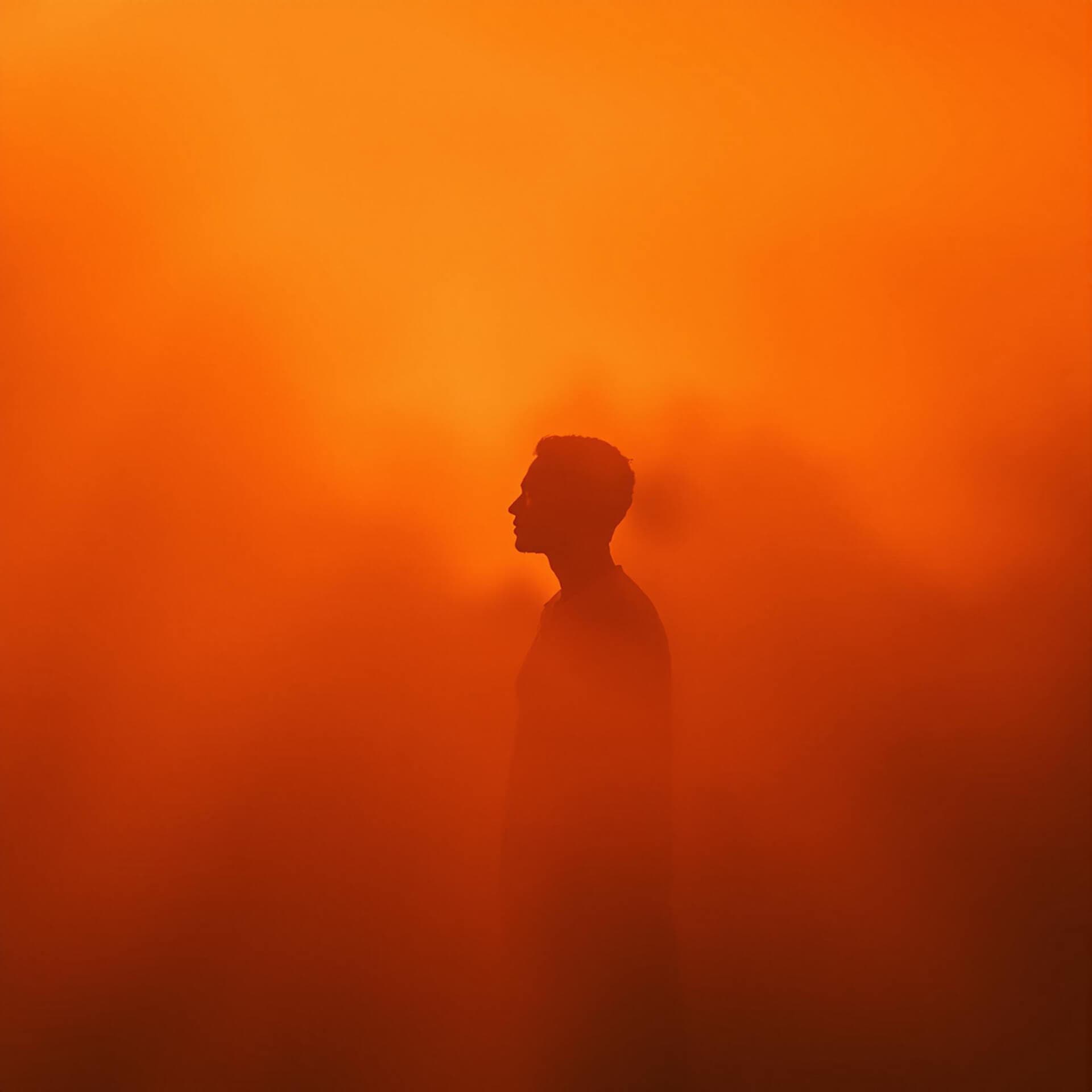 Soft Signal — figure